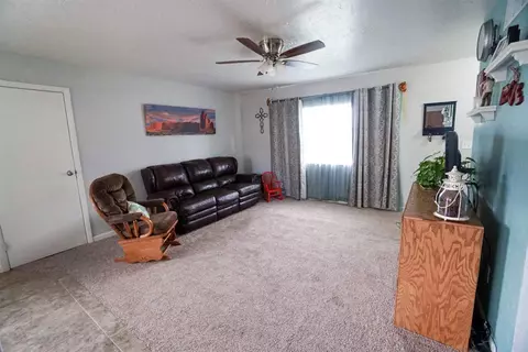 1071 E Pabor Ave, Fruita, CO 81521 photo 5