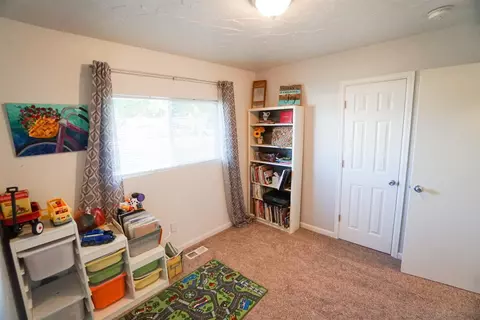 1071 E Pabor Ave, Fruita, CO 81521 photo 10