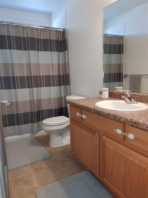 938 Elberta Dr, Fruita, CO 81521 photo 15