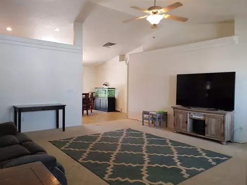 938 Elberta Dr, Fruita, CO 81521 photo 4