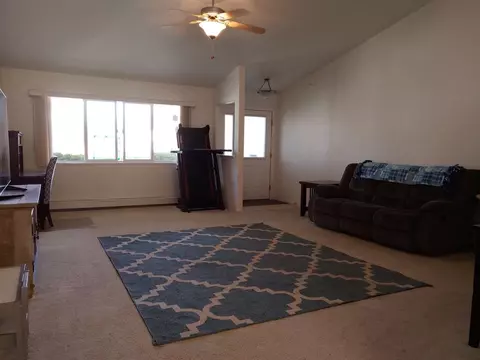 938 Elberta Dr, Fruita, CO 81521 photo 6