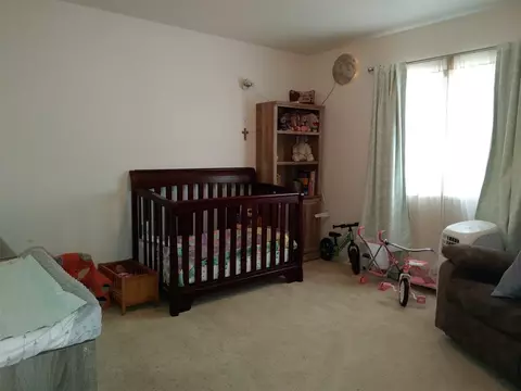 938 Elberta Dr, Fruita, CO 81521 photo 19