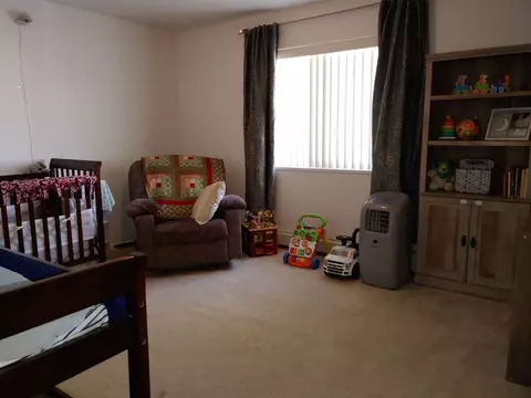 938 Elberta Dr, Fruita, CO 81521 photo 20