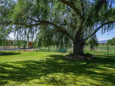 1453 18 Rd, Fruita, CO 81521 photo 7