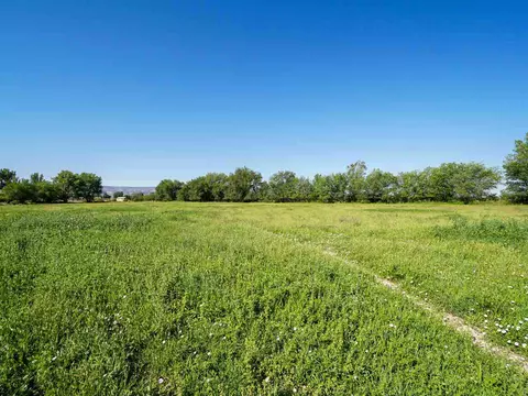 1453 18 Rd, Fruita, CO 81521 photo 33