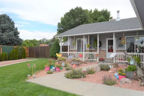 238 Pinyon Dr, Fruita, CO 81521 photo 6