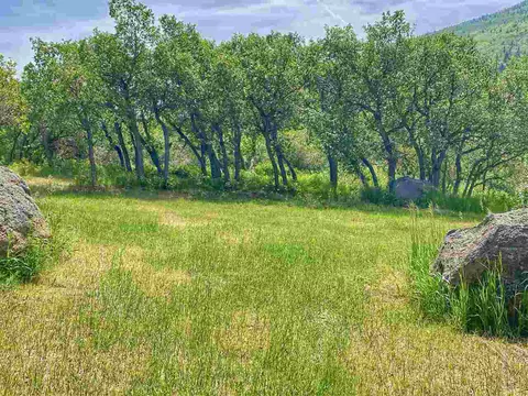 49081 Lela Ln, Mesa, CO 81643 photo 35