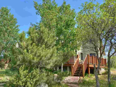 49081 Lela Ln, Mesa, CO 81643 photo 34