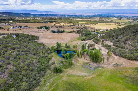23981 Ute Trail Rd, Cedaredge, CO 81413 photo 10