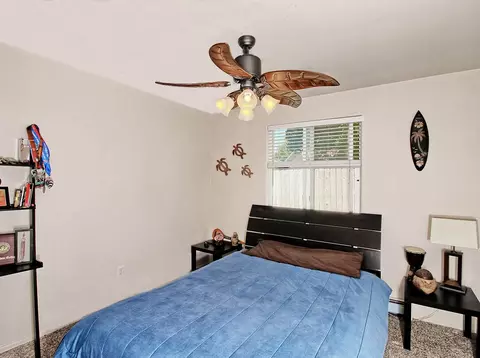 1129 Powell St, Fruita, CO 81521 photo 28