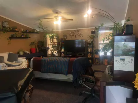 170 Honeysuckle Cir, Fruita, CO 81521 photo 13
