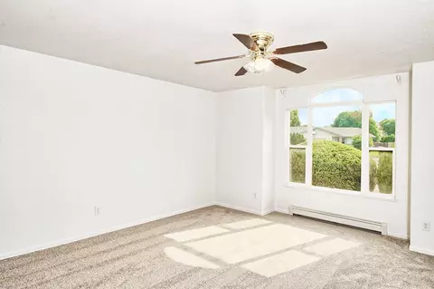 1133 Laurel Ct, Fruita, CO 81521 photo 3