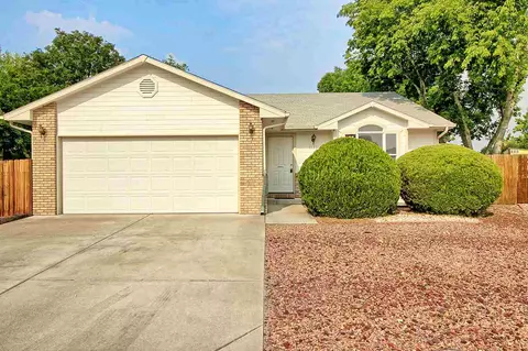 1133 Laurel Ct, Fruita, CO 81521 photo 29