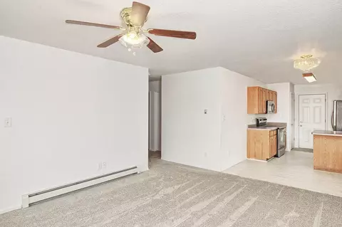 1133 Laurel Ct, Fruita, CO 81521 photo 5