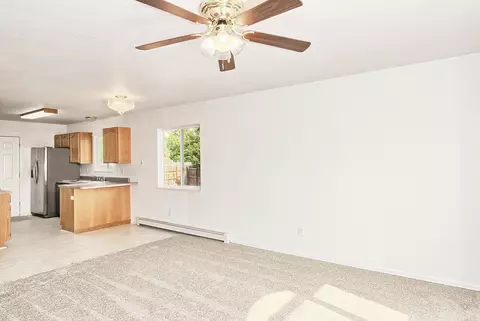 1133 Laurel Ct, Fruita, CO 81521 photo 4
