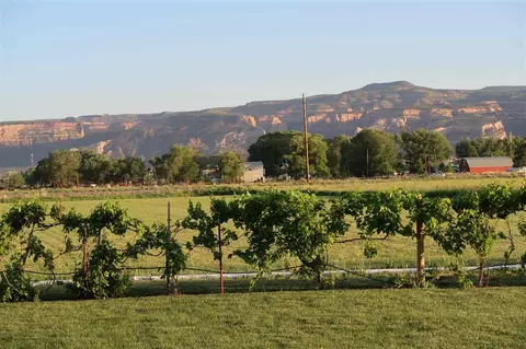 1911 Justman St, Fruita, CO 81521 photo 19