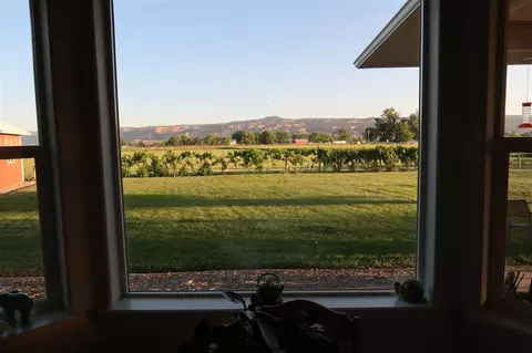 1911 Justman St, Fruita, CO 81521 photo 10