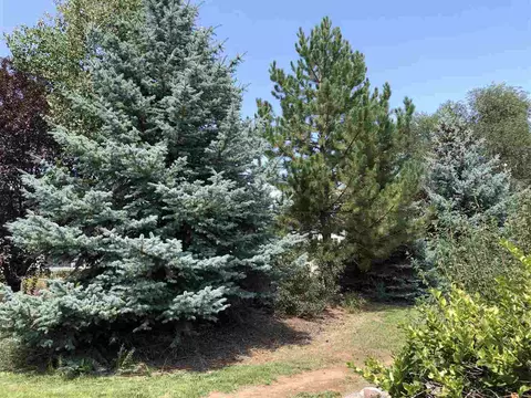 210 SE Cherry Ct, Cedaredge, CO 81413 photo 5