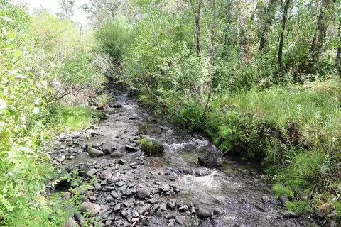 24532 Starner Loop Rd, Cedaredge, CO 81413 photo 33