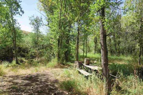 24532 Starner Loop Rd, Cedaredge, CO 81413 photo 31