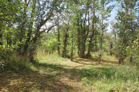 24532 Starner Loop Rd, Cedaredge, CO 81413 photo 30