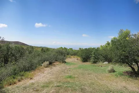 24532 Starner Loop Rd, Cedaredge, CO 81413 photo 29