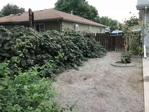 538 N Willow St, Fruita, CO 81521 photo 22