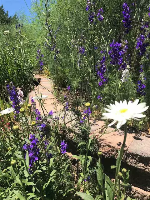 1457 Sagittarius St, Fruita, CO 81521 photo 15