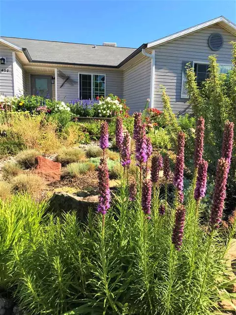 1457 Sagittarius St, Fruita, CO 81521 photo 2