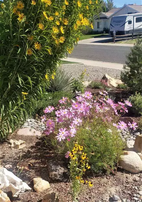 1457 Sagittarius St, Fruita, CO 81521 photo 6