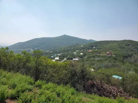 15730 Lariat Loop, Collbran, CO 81624 photo 8