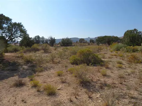 921 Crown Ct, Fruita, CO 81521 photo 1