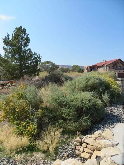 921 Crown Ct, Fruita, CO 81521 photo 10