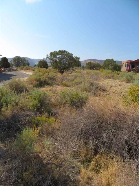 921 Crown Ct, Fruita, CO 81521 photo 4