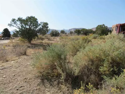 921 Crown Ct, Fruita, CO 81521 photo 2