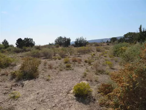 921 Crown Ct, Fruita, CO 81521 photo 5