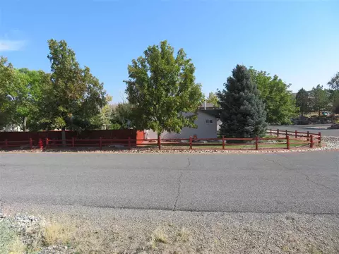 921 Crown Ct, Fruita, CO 81521 photo 14