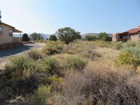 921 Crown Ct, Fruita, CO 81521 photo 3