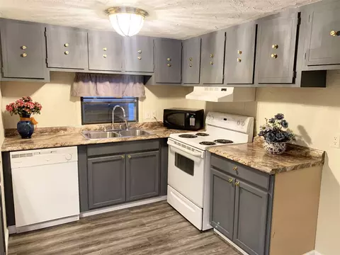 252 Honeysuckle Cir, Fruita, CO 81521 photo 3