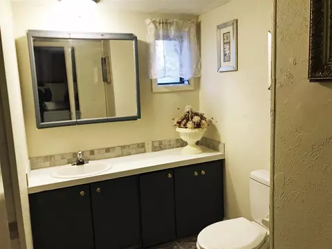 252 Honeysuckle Cir, Fruita, CO 81521 photo 6