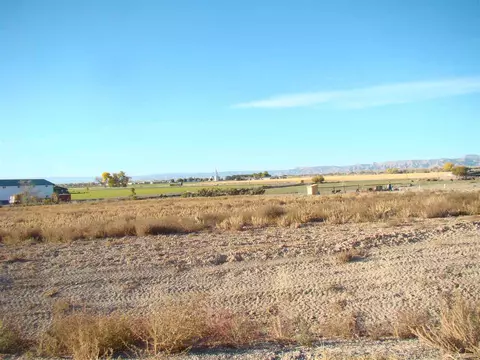 1650 Saddle Ring Ct, Loma, CO 81524 photo 5