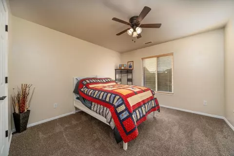 585 Amethyst Dr, Fruita, CO 81521 photo 14
