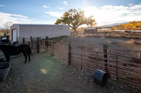 4556 W Rd, De Beque, CO 81630 photo 16