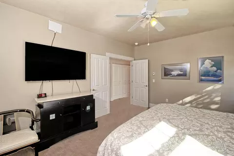 1101 Daisy Ln, Fruita, CO 81521 photo 12