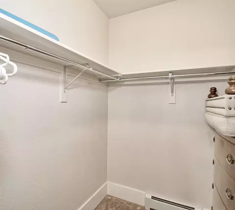 1101 Daisy Ln, Fruita, CO 81521 photo 15
