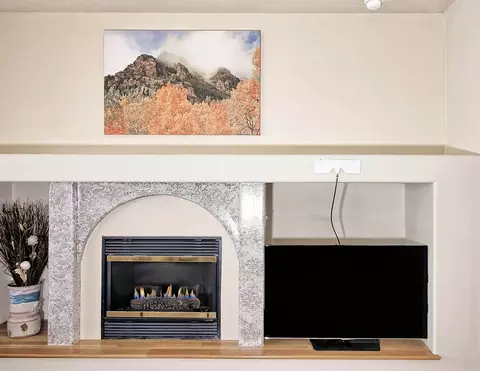 1101 Daisy Ln, Fruita, CO 81521 photo 5