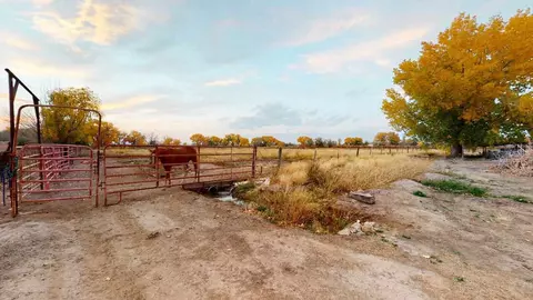 919 21 Rd, Fruita, CO 81521 photo 24