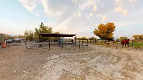 919 21 Rd, Fruita, CO 81521 photo 23