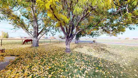 919 21 Rd, Fruita, CO 81521 photo 21