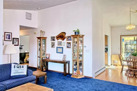 680 Pinyon Dr, Fruita, CO 81521 photo 10